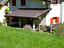 Immagine 16