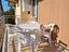 Immagine 10