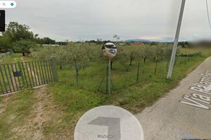 Terreno agricolo prezioso