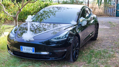 Tesla model 3 Dual Motor