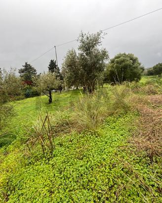 Terreno - Carlentini