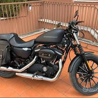 Harley-Davidson Sportster 883 IRON - anno 2010