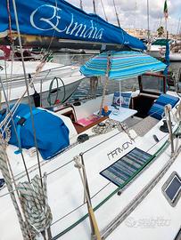 CBS Harmony 31