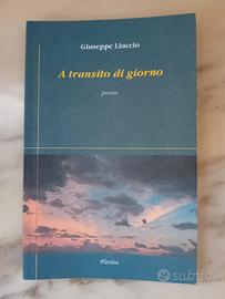 Giuseppe Liuccio A Transito di Giorno-Firma Autore