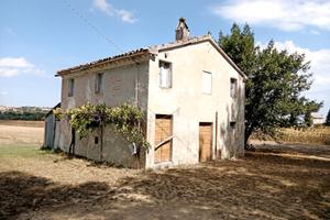 Fabbricato rurale con terreno a Corinaldo