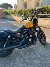 Harvey Davidson 883iron