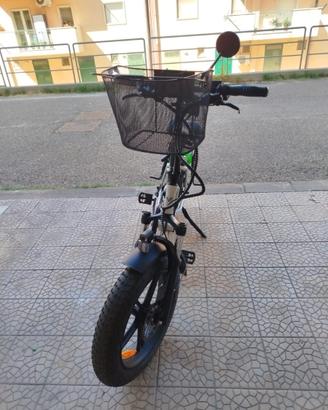 Bicicletta elettrica