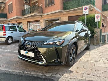 Lexus UX 300h 2.0 Urban 2wd cvt 199 cv