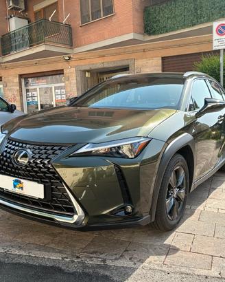 Lexus UX 300h 2.0 Urban 2wd cvt 199 cv