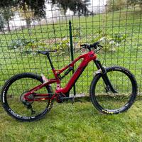 E-bike Raymon Airray 2024
