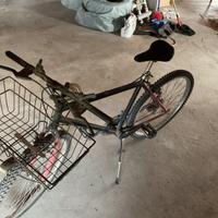 Bicicletta con cestino