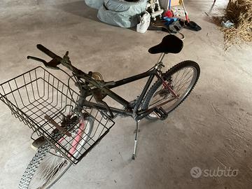 Bicicletta con cestino