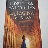 Libri di Ildefonso Falcones