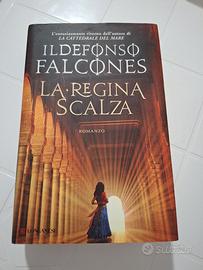 Libri di Ildefonso Falcones