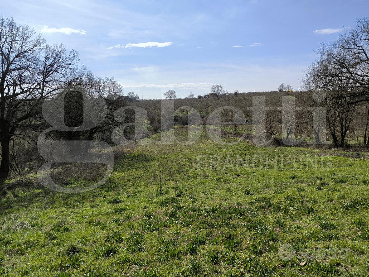 Rustico/Casale/Corte Gallese [Cod. rif 3232469VRG] - Vista 3