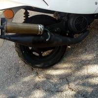 marmitta scarico  sportiva malaguti