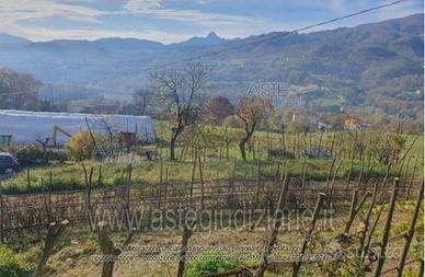 Terreno Agricolo Pieve Fosciana [A4356382]