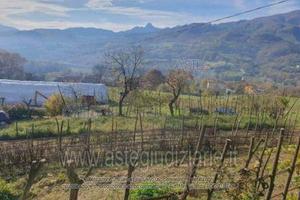 Terreno Agricolo Pieve Fosciana [A4356382]