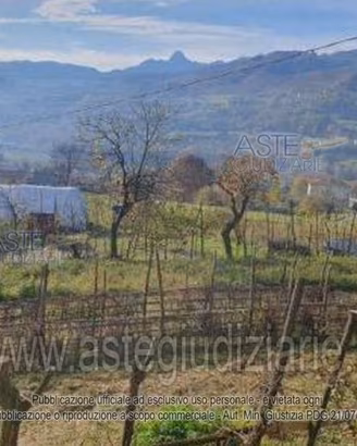 Terreno Agricolo Pieve Fosciana [A4356382]