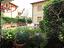 Immagine 21