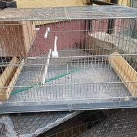 gabbia per pappagalli 