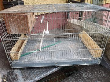 gabbia per pappagalli 