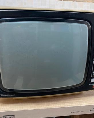 Tv 14 pollici vintage