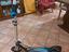 Immagine 1
