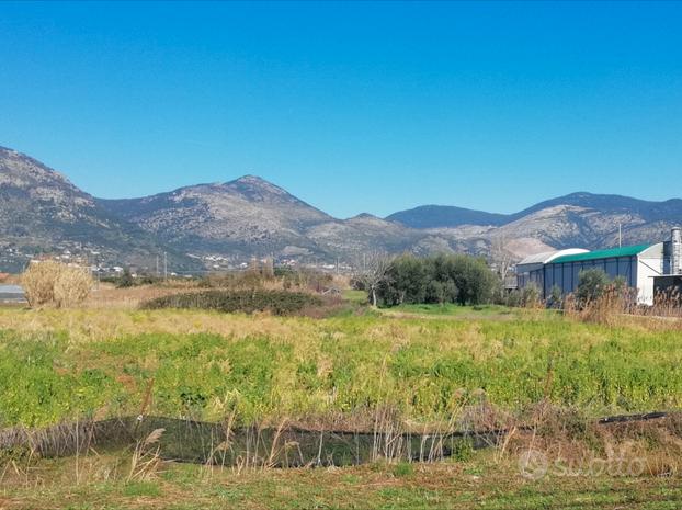 Terreno a Terracina, Zona Ceccaccio mq.7.400