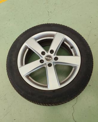 Gomme più cerchi 