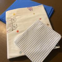 Sacco piumino Ikea con federa, letto singolo