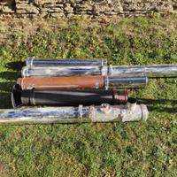 Canna fumaria coibentata