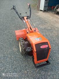motocoltivatore Goldoni jolly super
