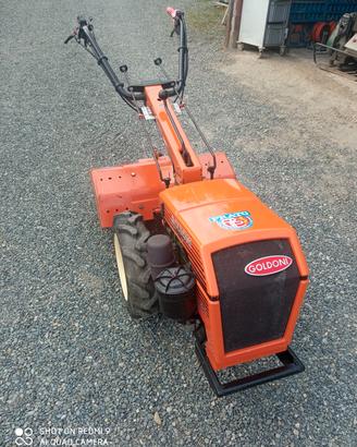 motocoltivatore Goldoni jolly super