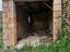 Immagine 27