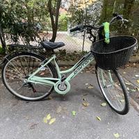 Bicicletta Daytona Tk0028  6 marce Cestino Catena