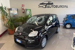 FIAT Panda 3ª serie Panda 1.0 FireFly S&S Hybrid