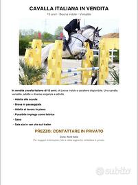 Cavalla italiana