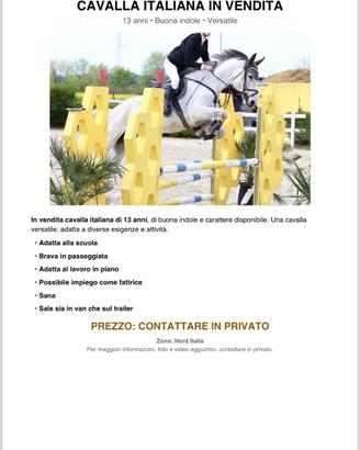 Cavalla italiana