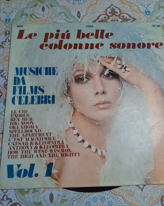 disco in vinile 