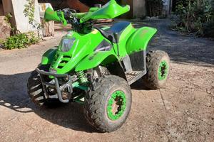 Altro Altro modello - 2025