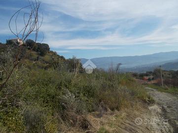 TER. AGRICOLO A CASTROLIBERO