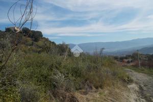 TER. AGRICOLO A CASTROLIBERO