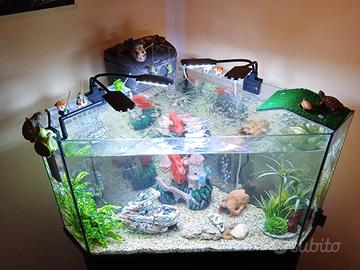 Acquario angolare full optional