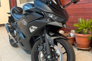 ninja 500 2026