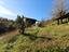 Immagine 17