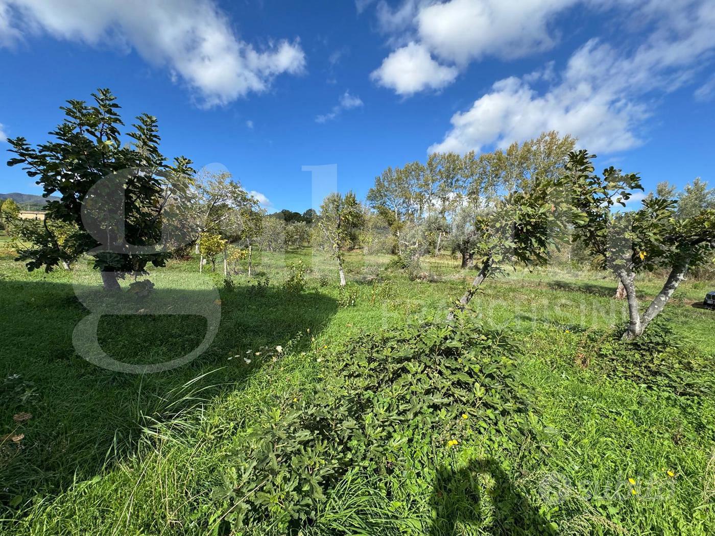 Terreno Agricolo Rende [Cod. rif 3271275VRG] - Vista 3