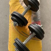 Pesi manubri bilanciere palestra ginnastica ghisa