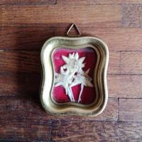 quadretto Stelle Alpine essicate