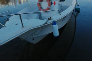 barca motore e carrello